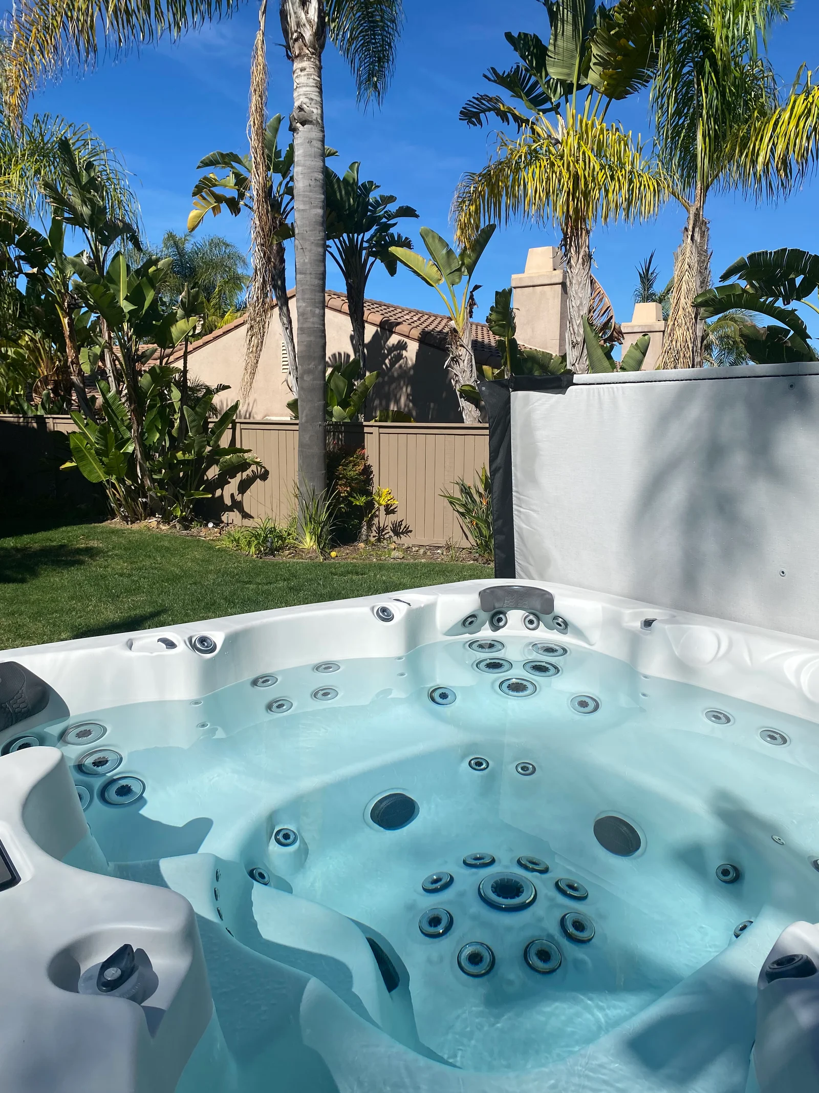 White hot tub with blue water and jet nozzles in backyard with palm trees and privacy screen